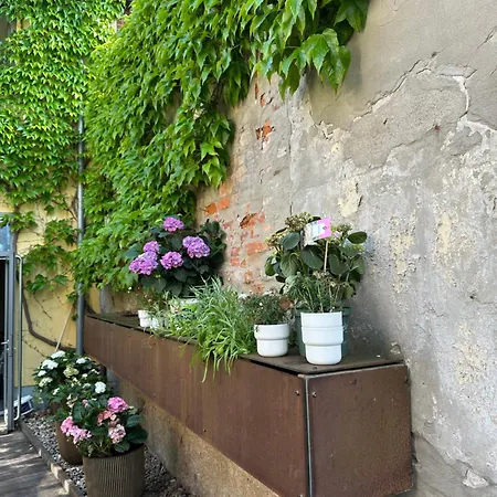 Birnbom Warnemuende Апартаменты Росток