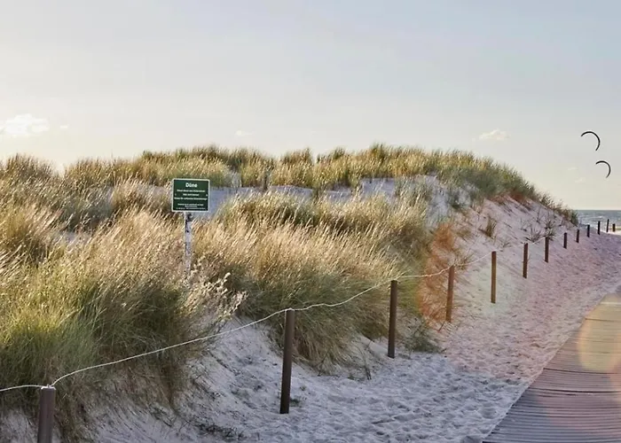 Birnbom Warnemünde Rostock